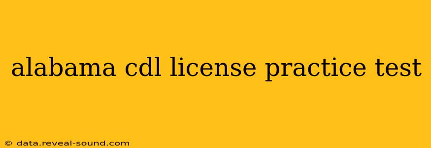alabama cdl license practice test