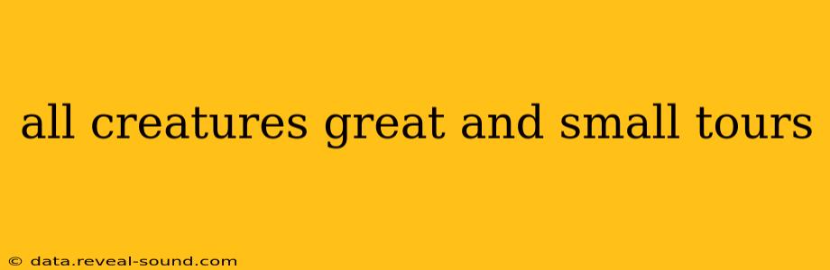 all creatures great and small tours