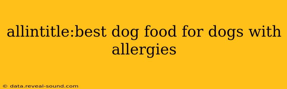 allintitle:best dog food for dogs with allergies