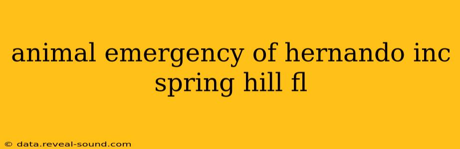 animal emergency of hernando inc spring hill fl