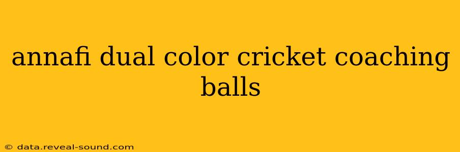 annafi dual color cricket coaching balls