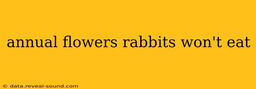 annual flowers rabbits won't eat