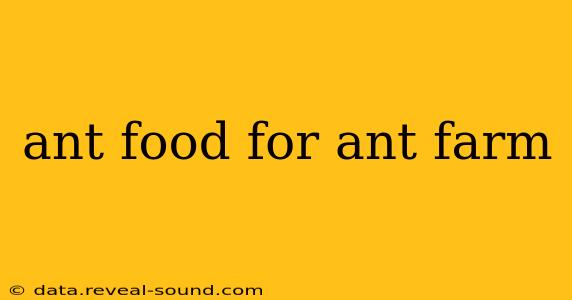 ant food for ant farm