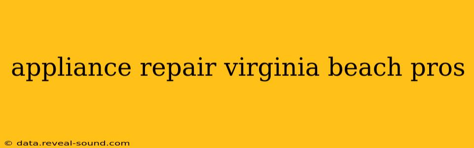appliance repair virginia beach pros