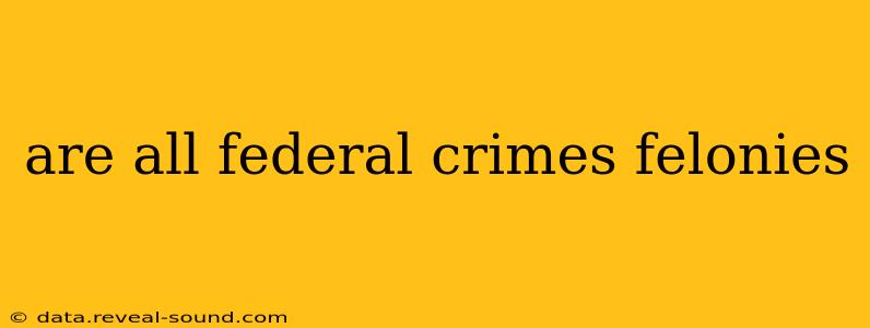 are all federal crimes felonies