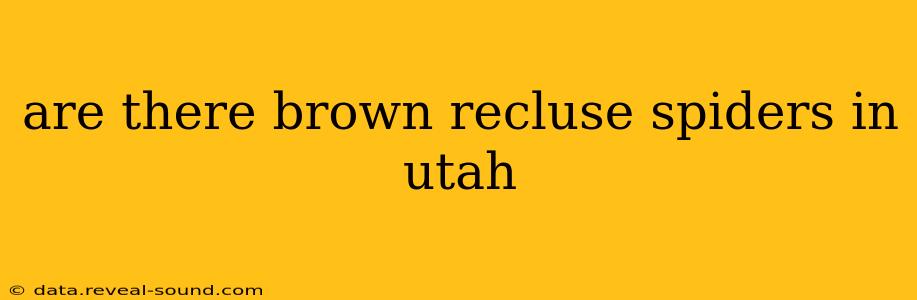 are there brown recluse spiders in utah