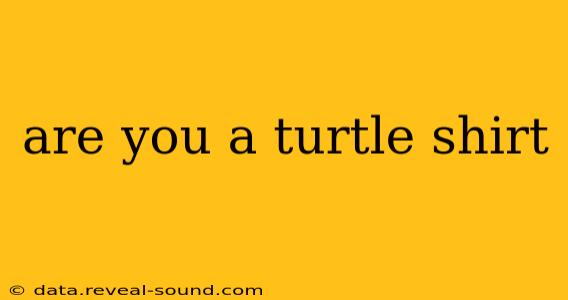 are you a turtle shirt