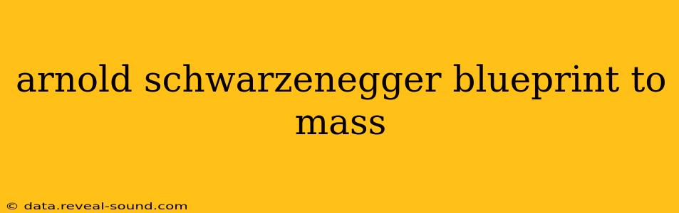 arnold schwarzenegger blueprint to mass