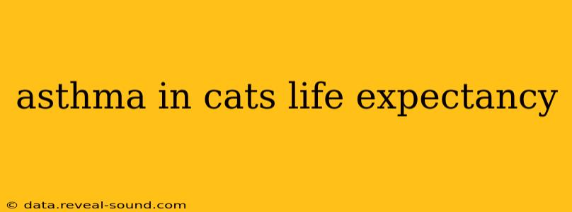 asthma in cats life expectancy