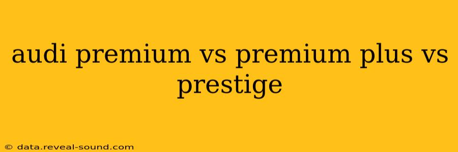 audi premium vs premium plus vs prestige