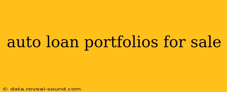auto loan portfolios for sale