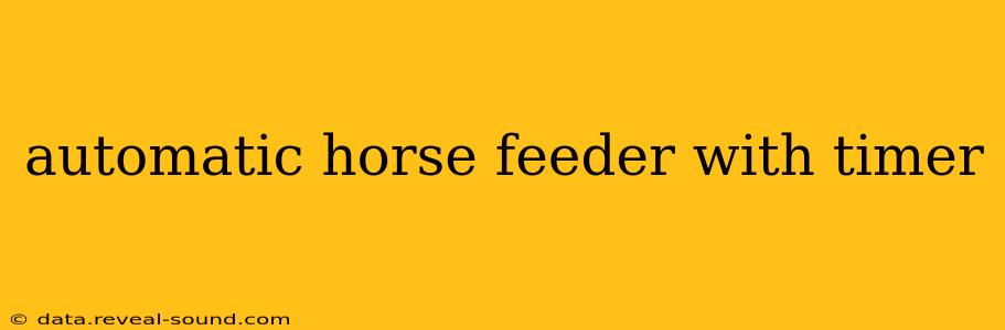automatic horse feeder with timer