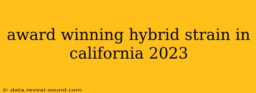 award winning hybrid strain in california 2023