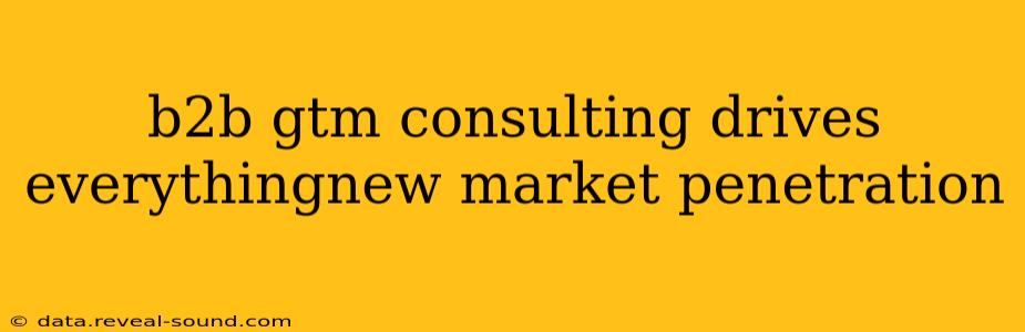 b2b gtm consulting drives everythingnew market penetration