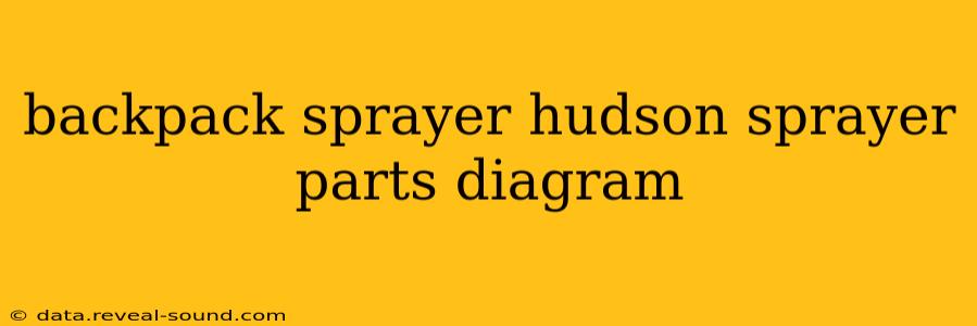 backpack sprayer hudson sprayer parts diagram