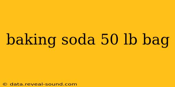 baking soda 50 lb bag