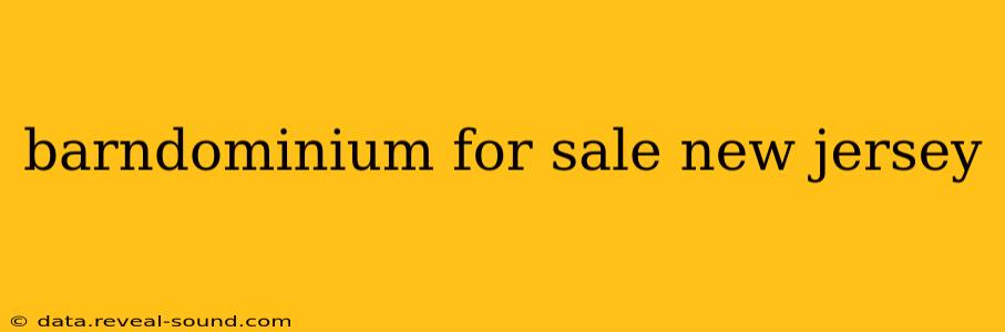 barndominium for sale new jersey