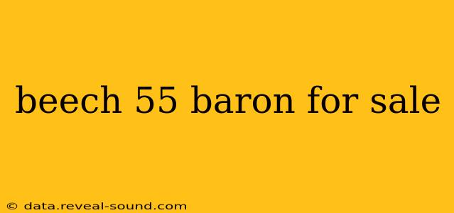 beech 55 baron for sale