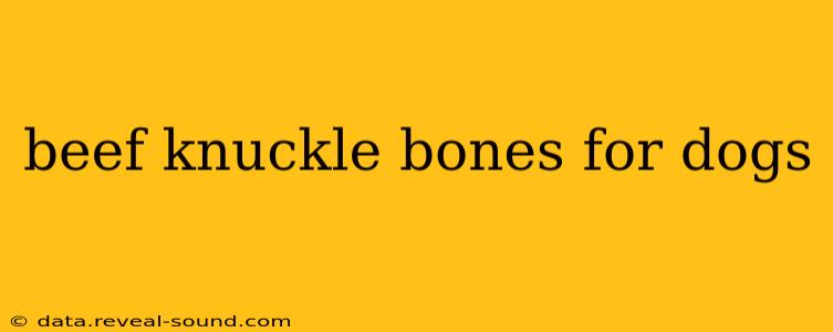 beef knuckle bones for dogs