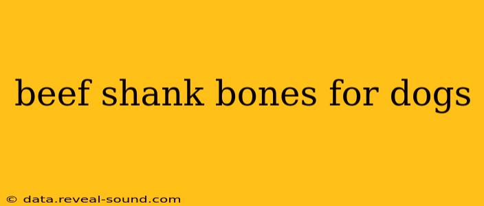 beef shank bones for dogs