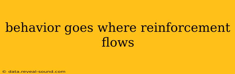 behavior goes where reinforcement flows