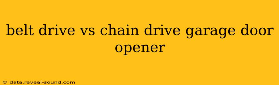 belt drive vs chain drive garage door opener
