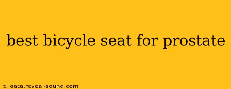 best bicycle seat for prostate