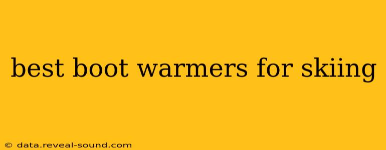 best boot warmers for skiing
