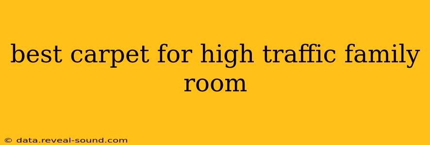best carpet for high traffic family room