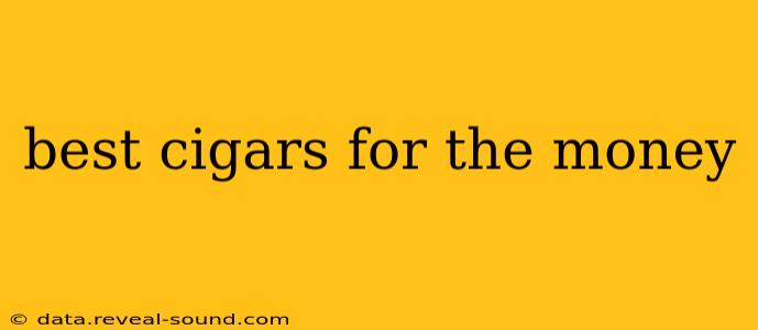best cigars for the money