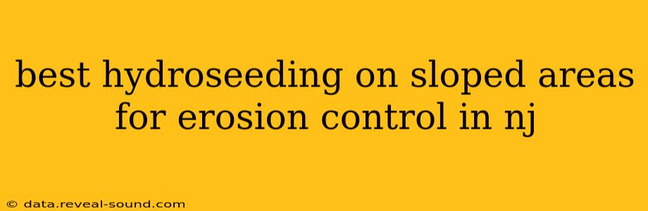 best hydroseeding on sloped areas for erosion control in nj