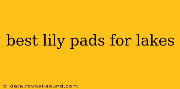 best lily pads for lakes