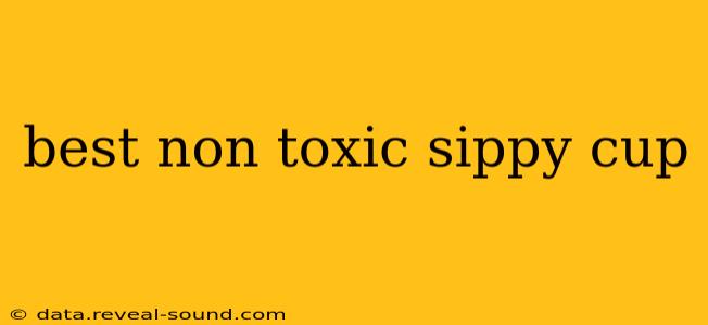 best non toxic sippy cup
