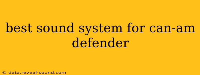 best sound system for can-am defender