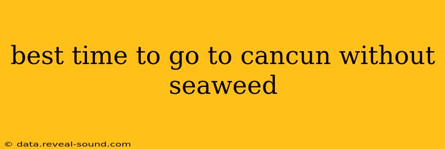 best time to go to cancun without seaweed