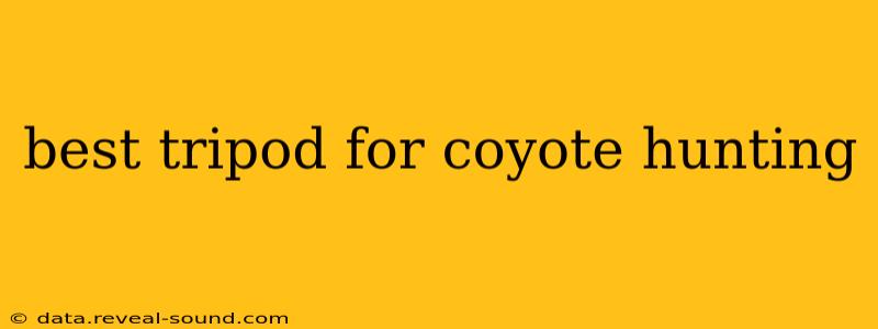 best tripod for coyote hunting