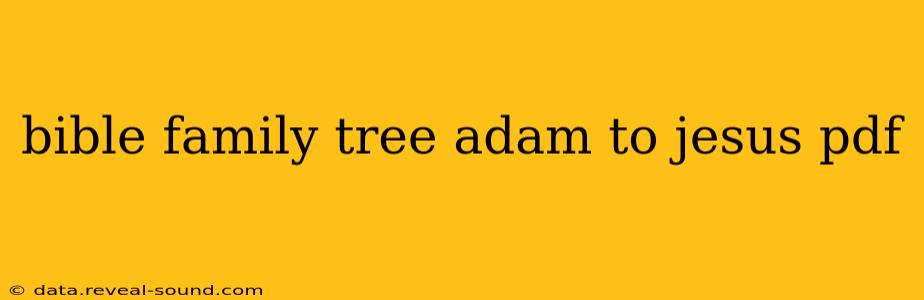 bible family tree adam to jesus pdf