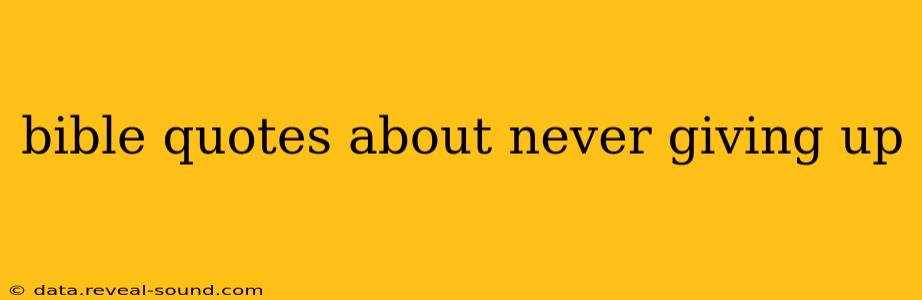 bible quotes about never giving up