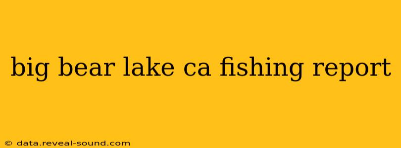 big bear lake ca fishing report