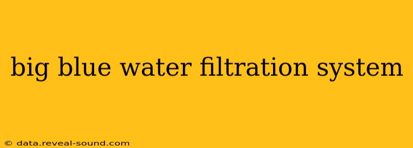 big blue water filtration system