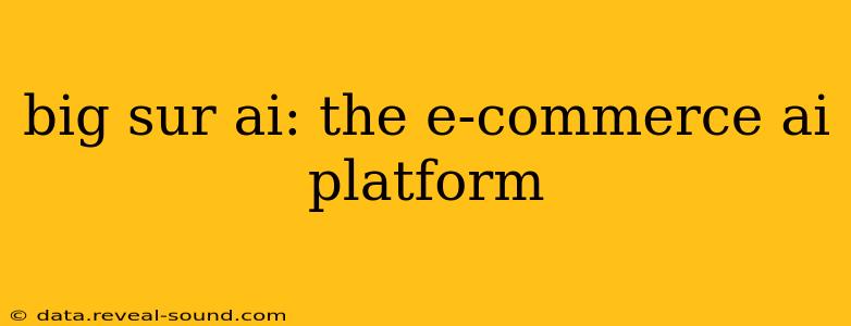 big sur ai: the e-commerce ai platform