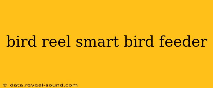 bird reel smart bird feeder