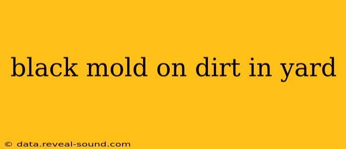 black mold on dirt in yard