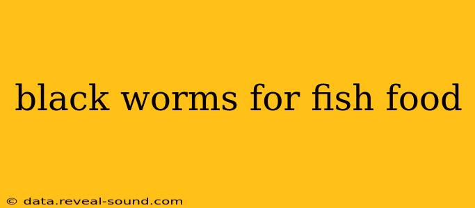 black worms for fish food