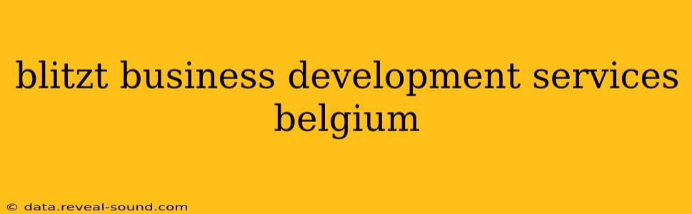 blitzt business development services belgium