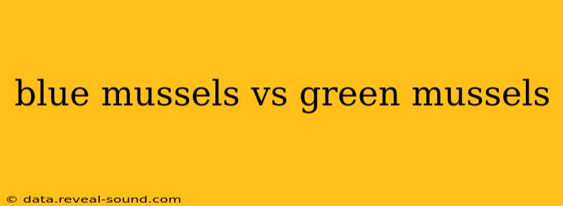 blue mussels vs green mussels