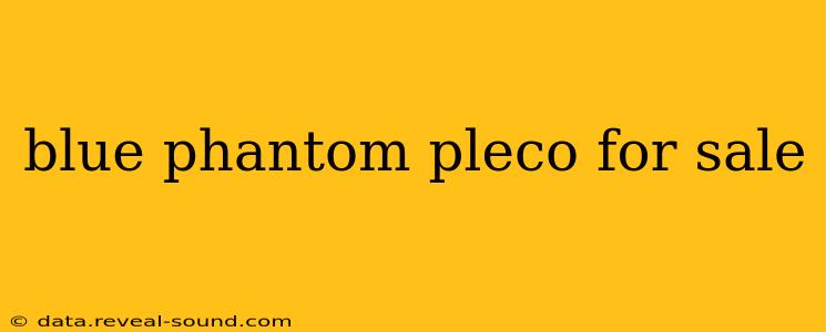 blue phantom pleco for sale
