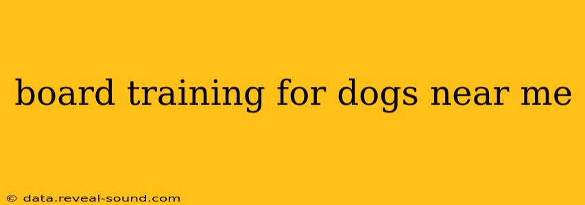board training for dogs near me