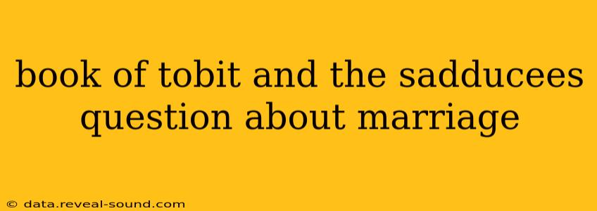 book of tobit and the sadducees question about marriage