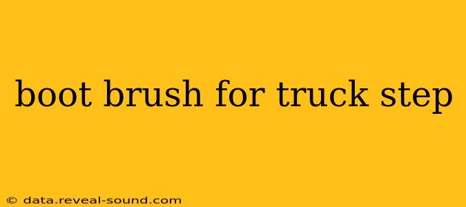 boot brush for truck step
